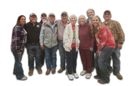 Group of team members
