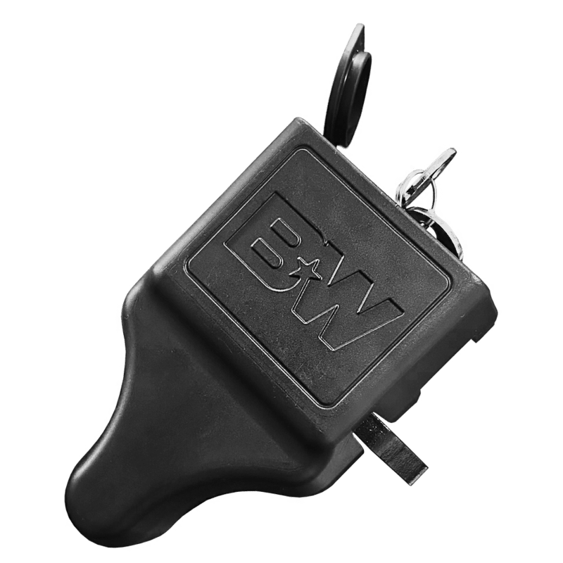 B&W hitch lock pins set product image